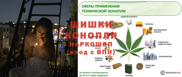 ECSTASY Богородск
