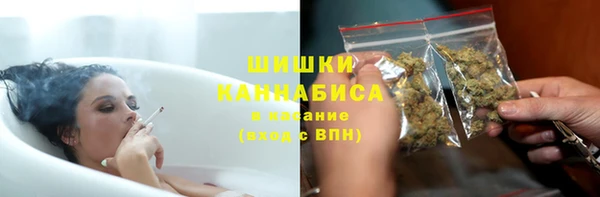 apvp Бородино