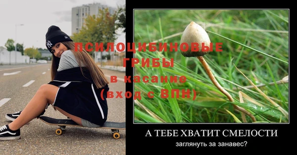 apvp Бородино