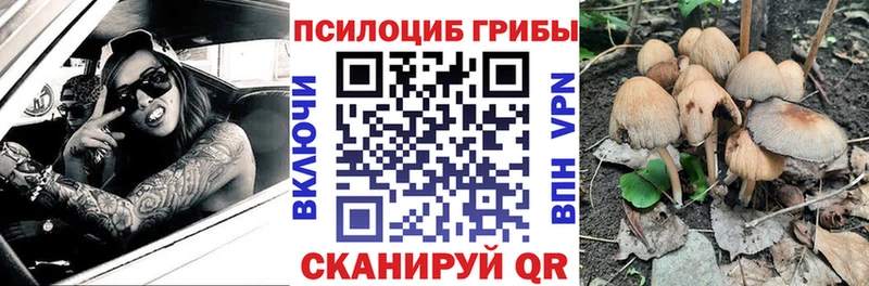 где найти наркотики  blacksprut ссылки  Псилоцибиновые грибы Magic Shrooms  Нестеров 